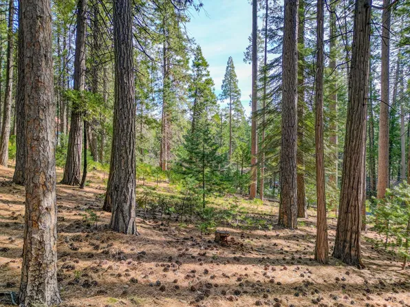 2607-2625 Linnet Ln, Arnold, CA 95223