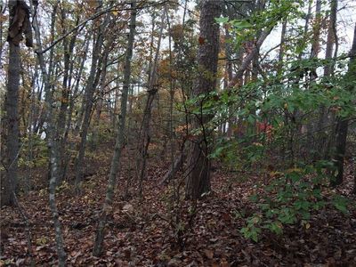 3723 Cagle Rd Lot 4, Gainesville, GA, 30501