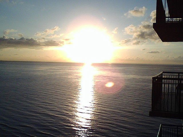 1st image of 3800 Galt Ocean Dr APT 1603