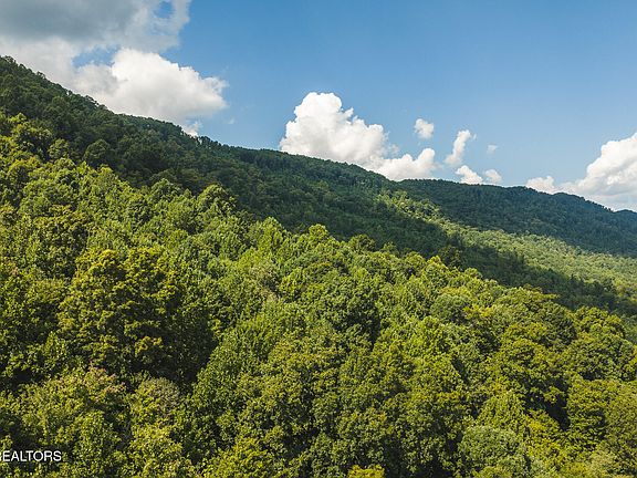 2nd image of Watson Hollow Rd