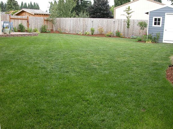 Large, Private Backyard