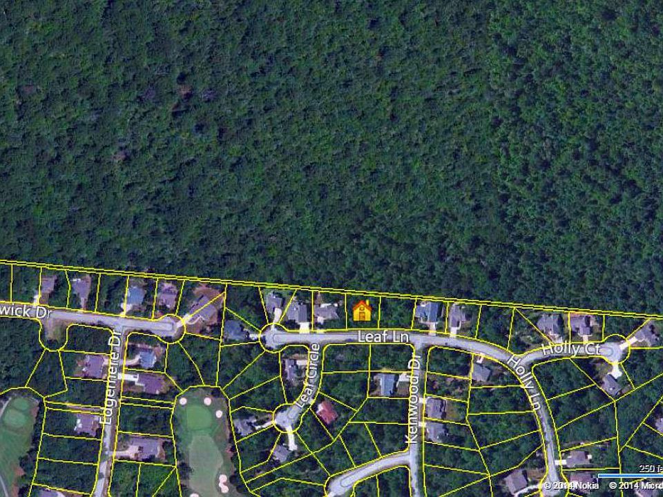 2nd image of 12 Leaf Ln