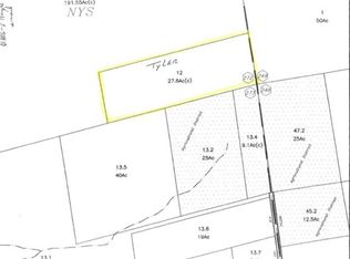 0 Paye Rd, Vermontville, NY 12989