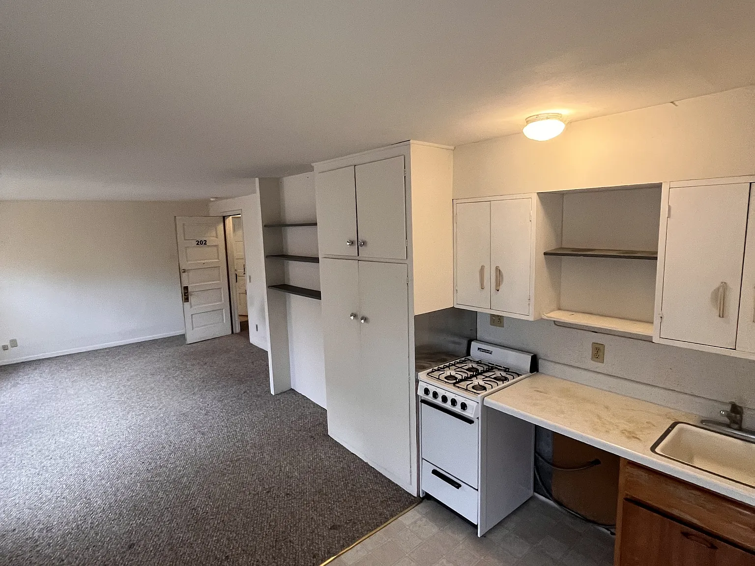 125 East Gorham Street - Unit 202 — Photo 4