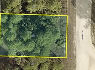 1012 Chadwick St, Lehigh Acres, FL 33974