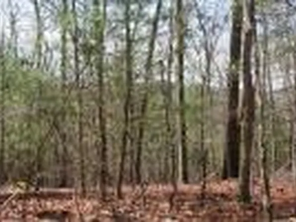 LOT 7 Seven Lady Ln W Lot 17, Murphy, NC 28906