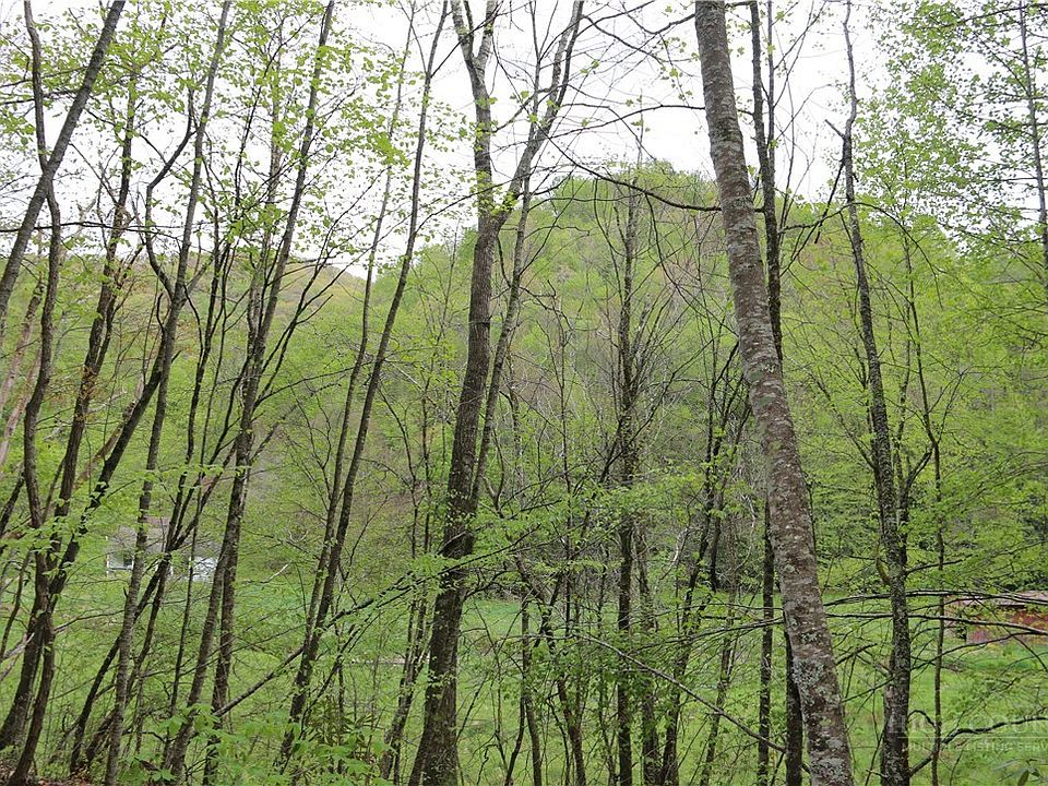 1st image of TBD Flatwoods School Road