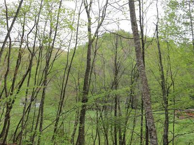 TBD Flatwoods School Road, Creston, NC, 28615