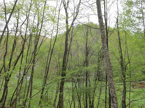 TBD Flatwoods School Road, Creston, NC 28615