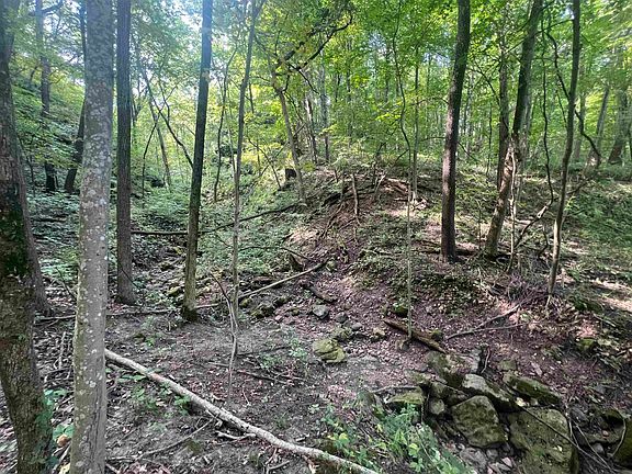 4th image of 20.12 Acres Hwy #33