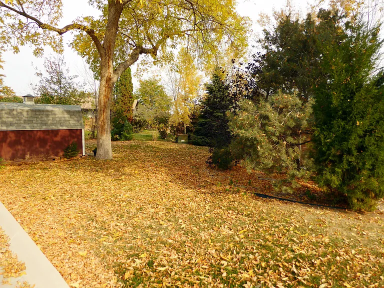 331 Juniper Pl — Photo 25
