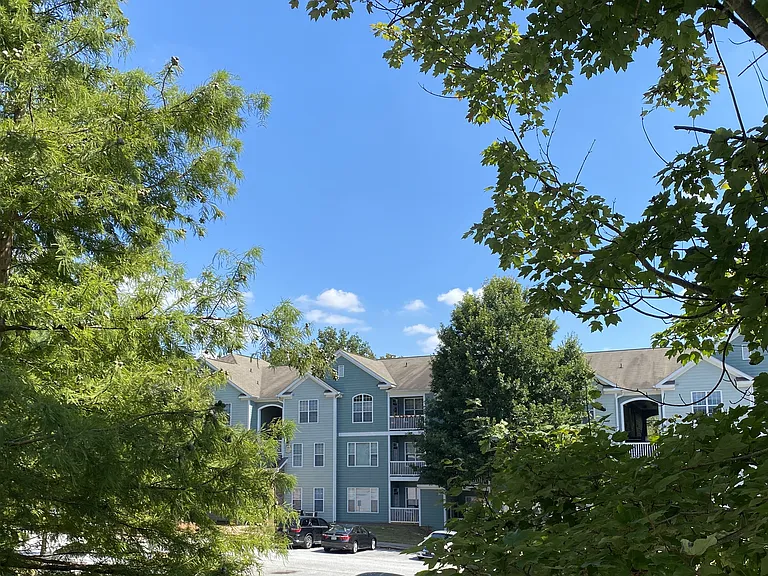 Edgewater Vista — Photo 8