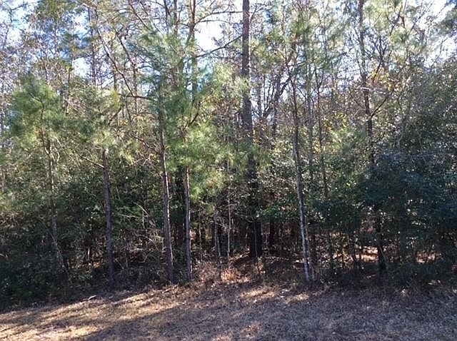 1st image of 16719 Mustang Trail Dr