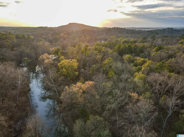 1 Moreland Rd #1, Brierfield, AL 35035