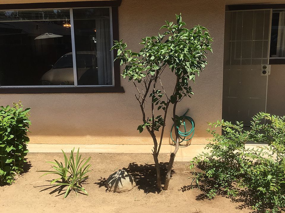 1st image of 767 W Sierra Ave APT 103