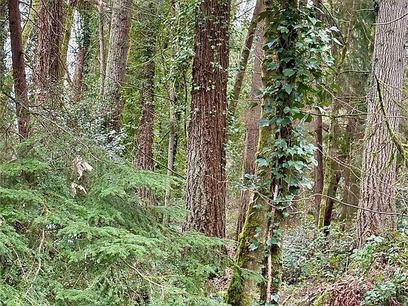 2nd image of 0 SW 230th Street