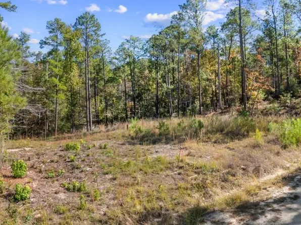 310 Idlewood Ct, Brookeland, TX 75931