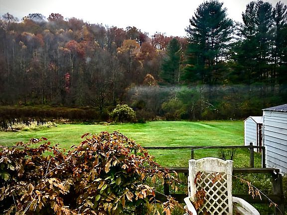 Back deck / wisteria 