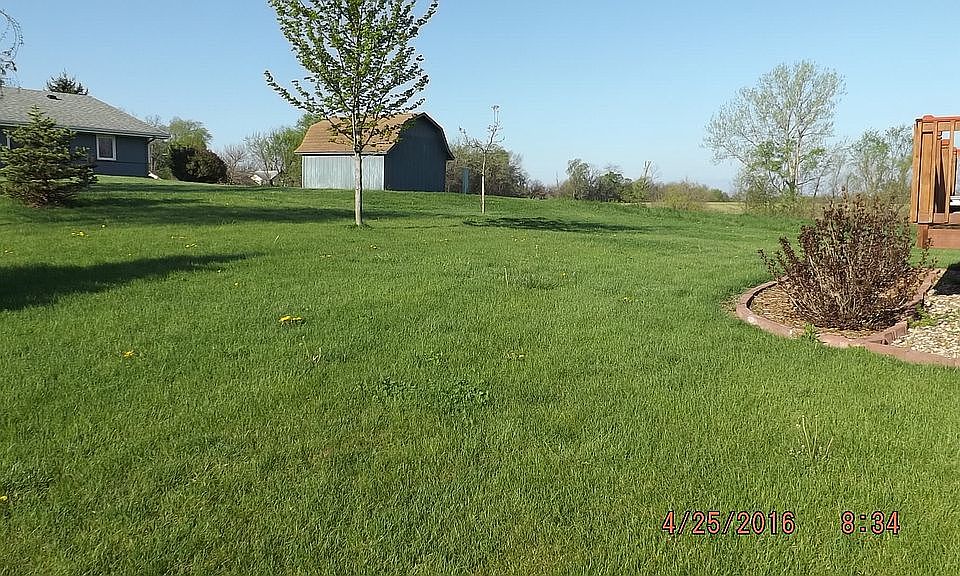 Back yard 