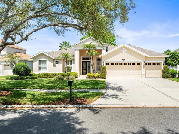 2221 Climbing Ivy Dr, Tampa, FL 33618