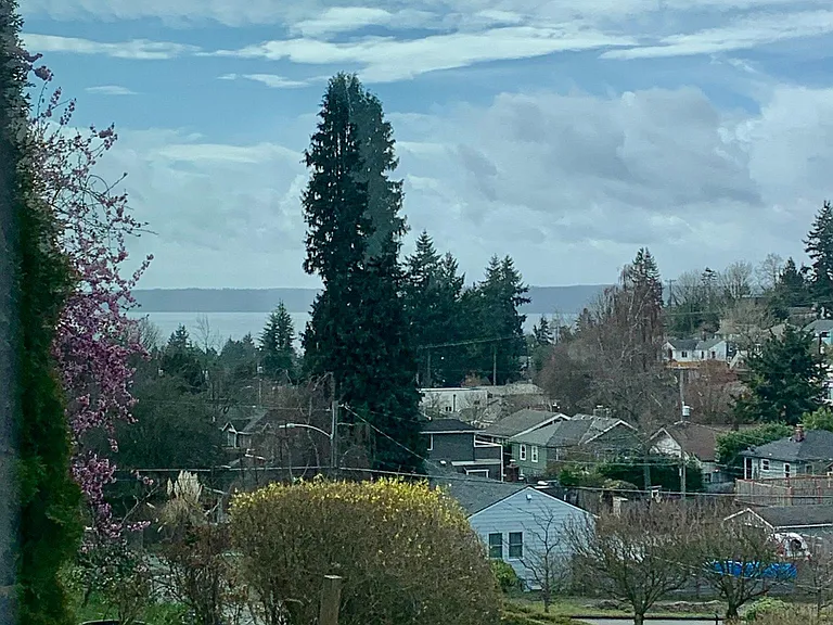 view from living area