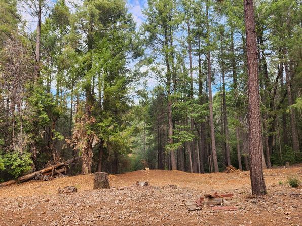 3030 Springwood Ln, Georgetown, CA 95634