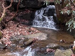 Willard Mountain Rd, Blue Ridge, GA 30513