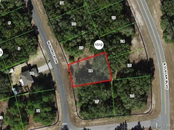 11703 N Monica Dr, Citrus Springs, FL 34433