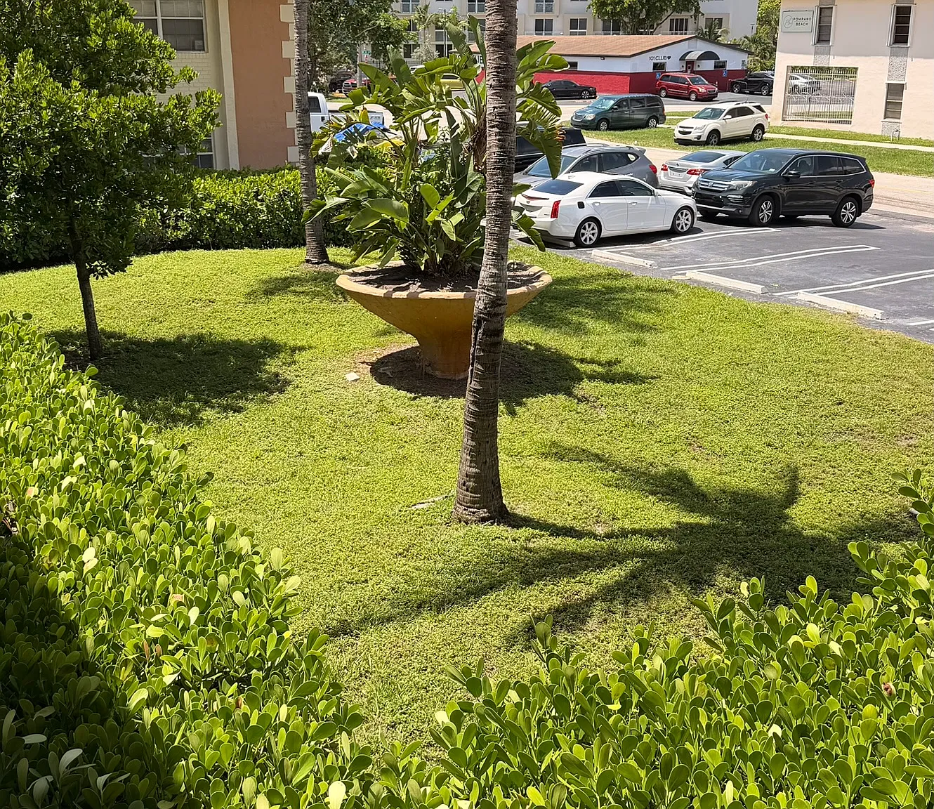 1 bed, $1,450 — Photo 3