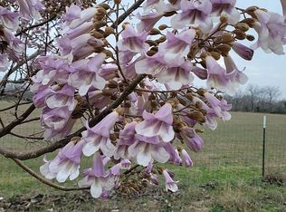 12416 Kenagy Rd, Atascosa, TX 78002