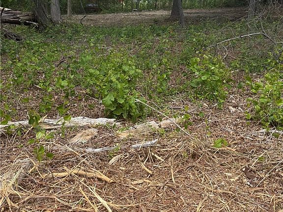 2nd image of McDougald Rd