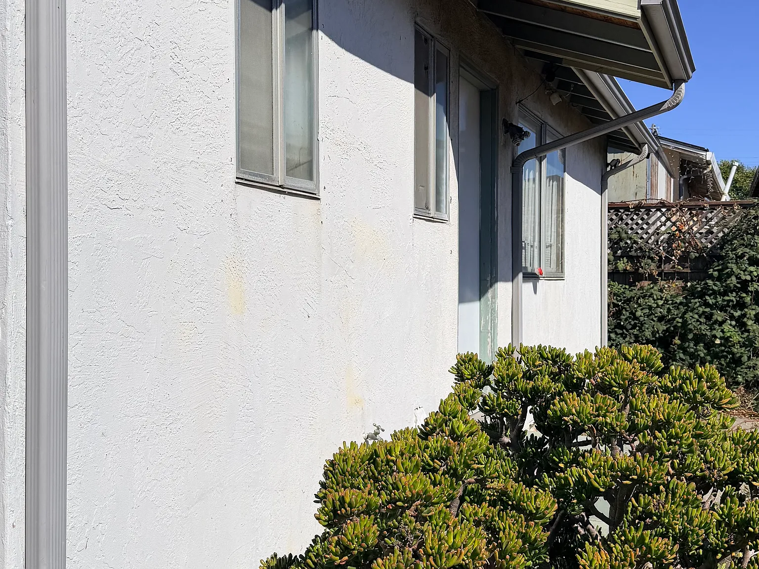 1 bed, 600 sqft, $1,550 — Photo 2