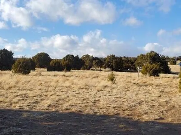 63 County Road 8019, Concho, AZ 85924