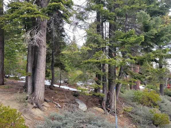 358 Northridge Dr, Tahoma, CA 96142