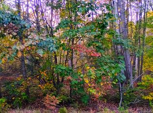 Xx Riversterrace Rd, Gladwin, MI 48624