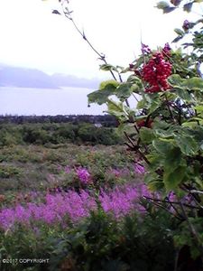 52225 Old East End Rd, Homer, AK, 99603