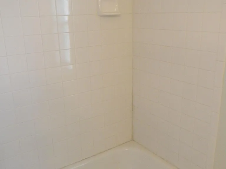 29026 Landbridge St — Photo 19
