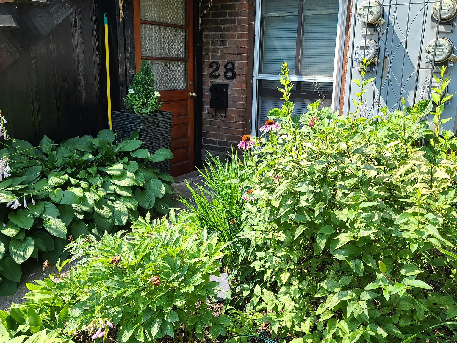 1 bed, 600 sqft, $1,850 — Photo 2