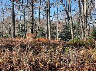 Wildwood Pl, Blowing Rock, NC 28605