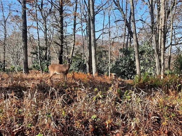 TBD Wildwood Place, Blowing Rock, NC 28605