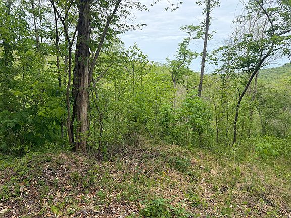 5th image of 999 Big Cave Rd