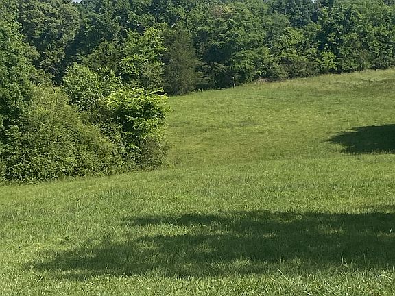 3rd image of 656 County Line Rd W