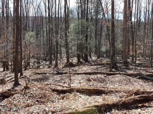 Squirrel Ln, Shickshinny, PA 18655