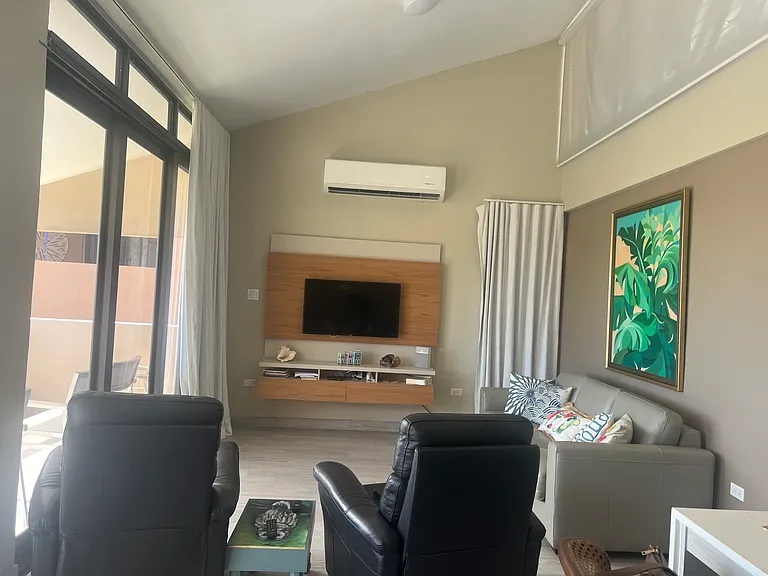 C4 La Jolla Palmas Del Mar Dr — Photo 8