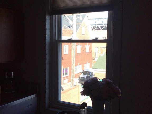 View out kitchen window