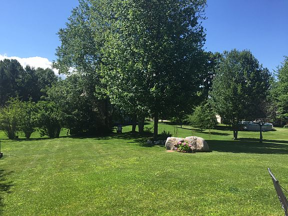 Backyard with your own trees
