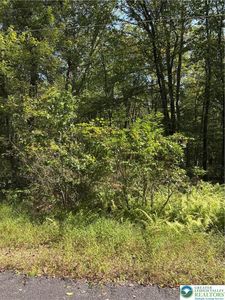 B11 W Clarks Ln, Jim Thorpe, PA, 18229