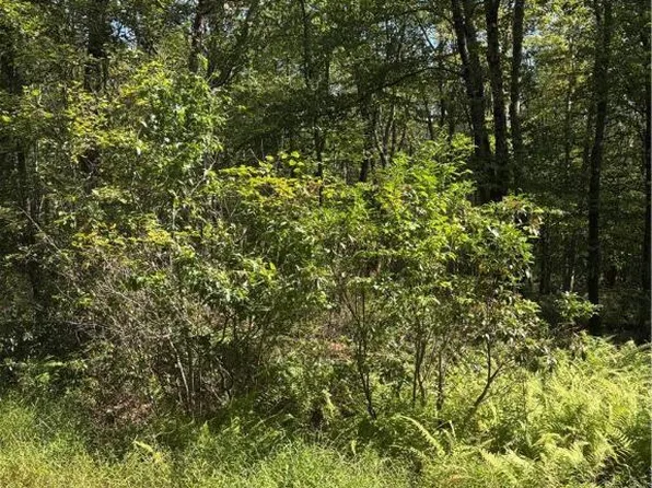 B11 W Clarks Ln, Jim Thorpe, PA 18229