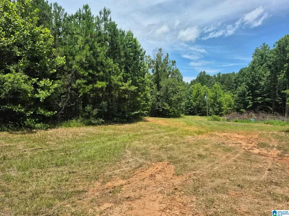 0 County Road 928 #28, Delta, AL 36258