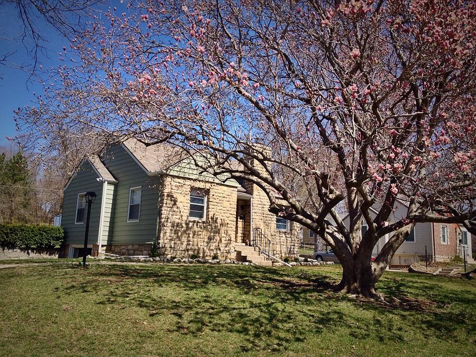 Magnolia Tree